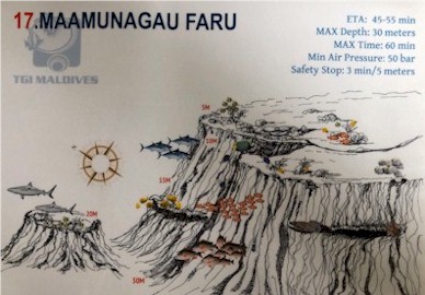 Maamunagau Faru